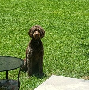 Meet your Posher, Deena